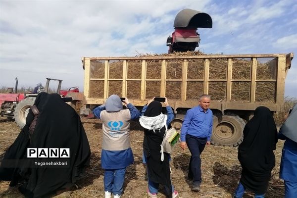 اردوی راهیان پیشرفت با هدف آشنایی نسل نوجوان با دستاوردهای علمی و انقلاب اسلامی در خوزستان