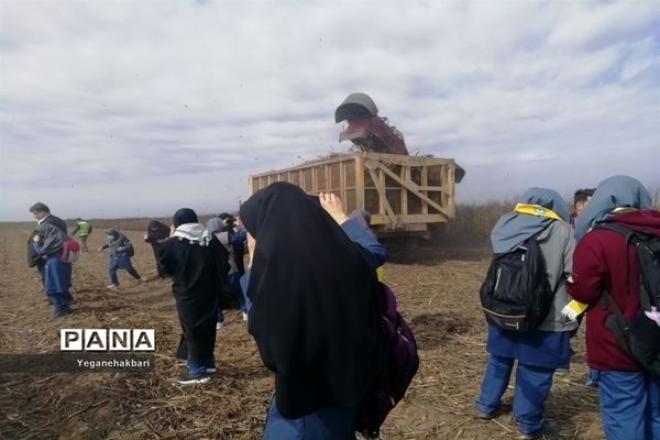 اردوی راهیان پیشرفت با هدف آشنایی نسل نوجوان با دستاوردهای علمی و انقلاب اسلامی در خوزستان