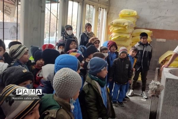 اردوی نانوایی توسط دانش‌آموزان دبستان هموطن ۲ رودهن