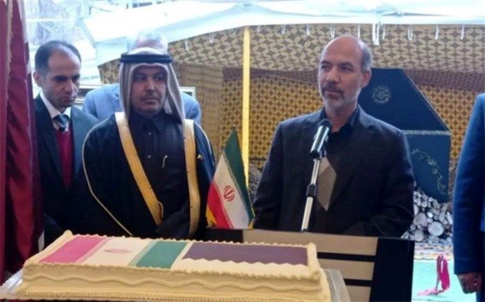 دیدار وزیر نیرو با سفیر قطر در ایران