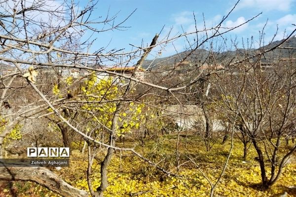 آخرین روزهای پاییزی در روستای بیدهند قم