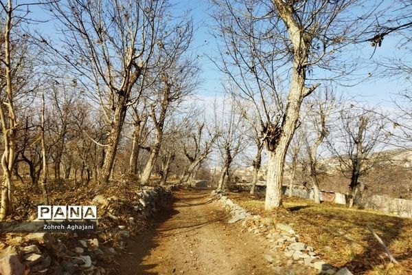 آخرین روزهای پاییزی در روستای بیدهند قم