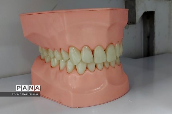 طرح‌نوآوران کلینیک سیار دندان‌پزشکی در بهارستان‌دو