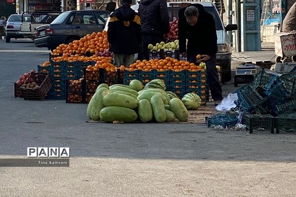 شور و شوق یلدایی در بازار خرید مردم