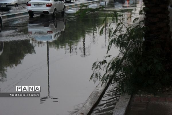 بارش باران و آبگرفتگی معابر در بوشهر