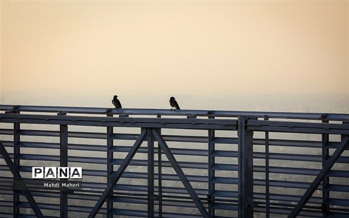 هشدار هواشناسی نسبت به افزایش آلودگی هوا در تهران