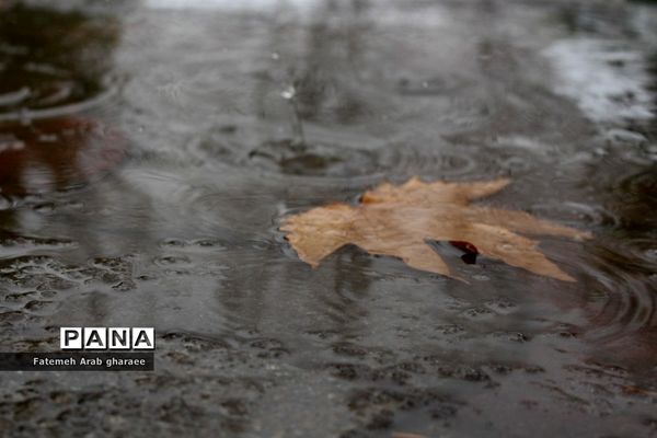 زمین در اردوگاه شهید باهنر لباس سپید به تن کرد