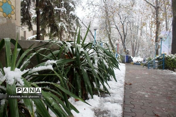 زمین در اردوگاه شهید باهنر لباس سپید به تن کرد