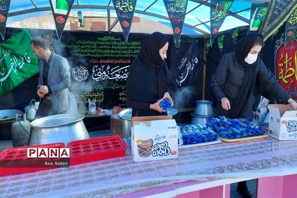 یک روز با شیر در مدارس آباده
