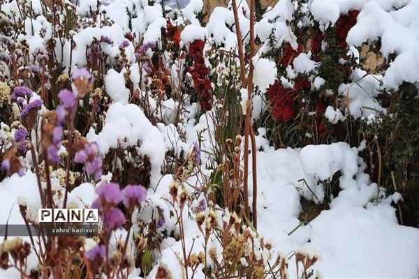 روز برفی در آباده