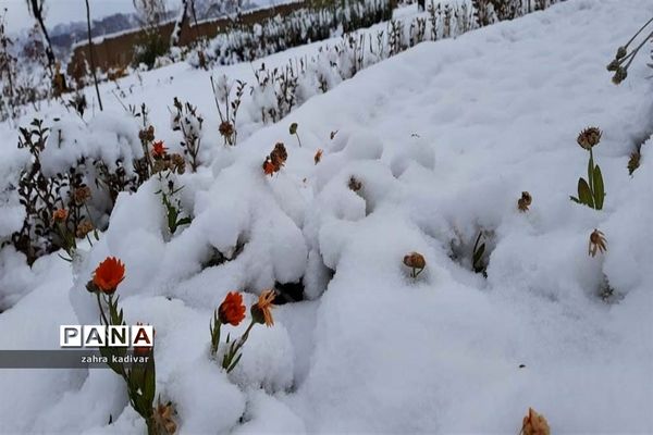 روز برفی در آباده