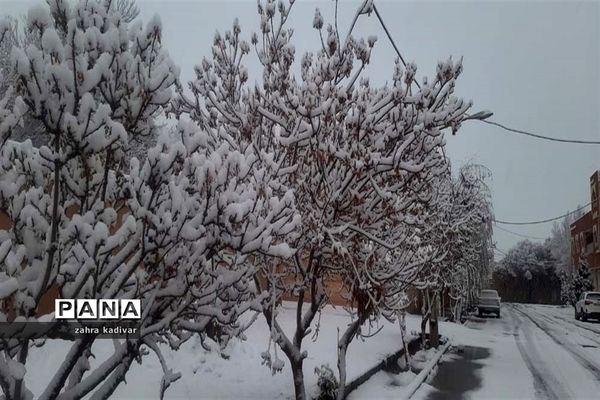 روز برفی در آباده