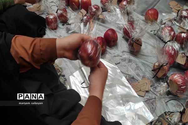 بسته بندی و توزیع ۳ هزار سیب در شبستان امام خمینی(ره) حرم شاهچراغ(ع)