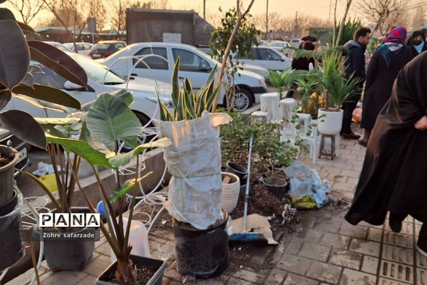 زیبایی‌های بازار گل محلاتی تهران