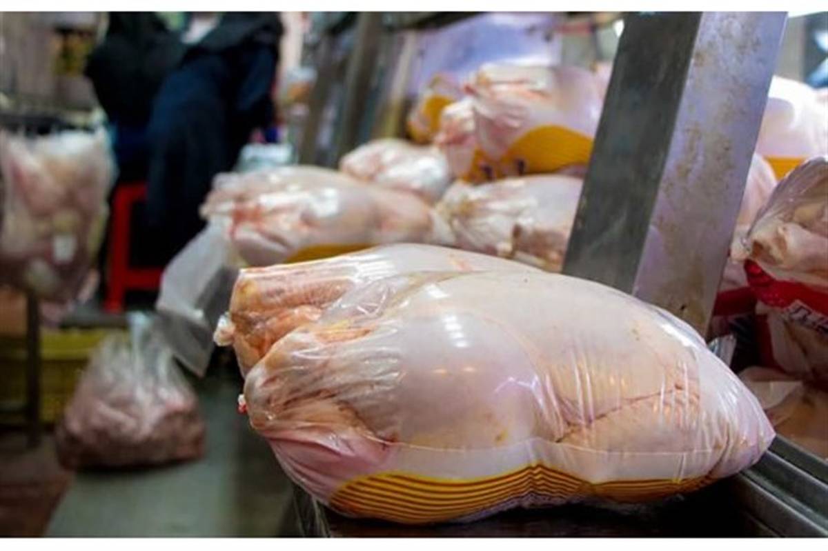 جمع‌آوری ۱۳ هزار تن مرغ مازاد از بازار