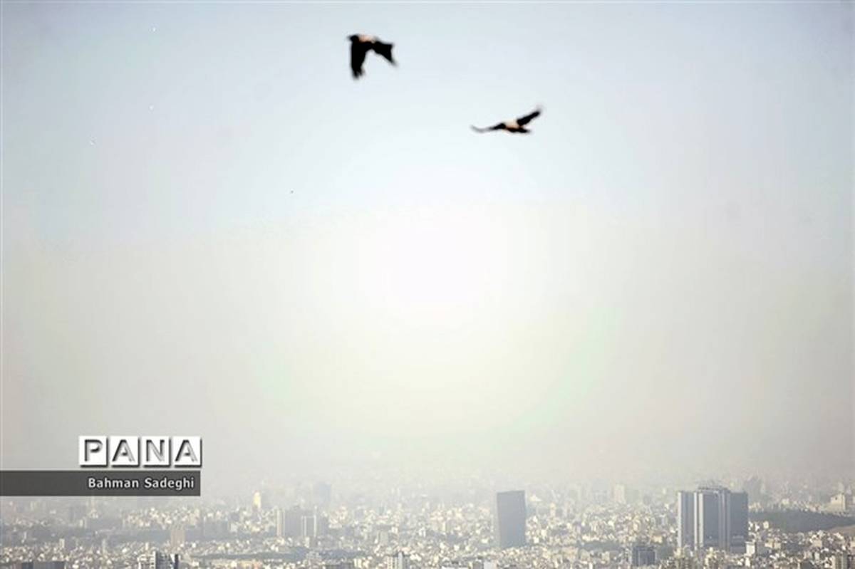 ۲۹ ایستگاه سنجش کیفیت هوای تهران در وضعیت قرمز