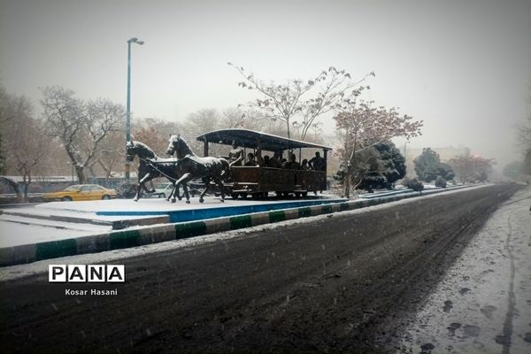 عروسی زمستان در تبریز