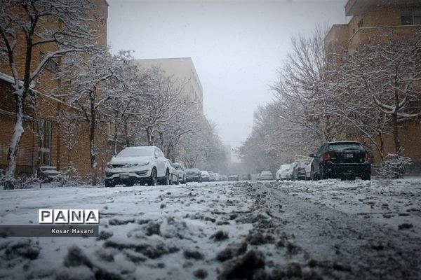 عروسی زمستان در تبریز