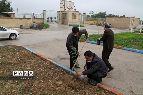 تقدیر از گزینشگران و کاشت نهال به مناسبت سالروز تشکیل نهاد گزینش در شهرستان بهبهان