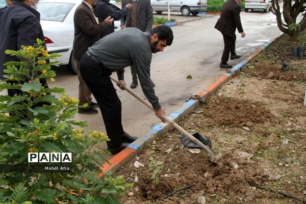 تقدیر از گزینشگران و کاشت نهال به مناسبت سالروز تشکیل نهاد گزینش در شهرستان بهبهان