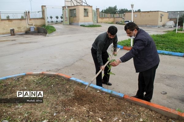 تقدیر از گزینشگران و کاشت نهال به مناسبت سالروز تشکیل نهاد گزینش در شهرستان بهبهان