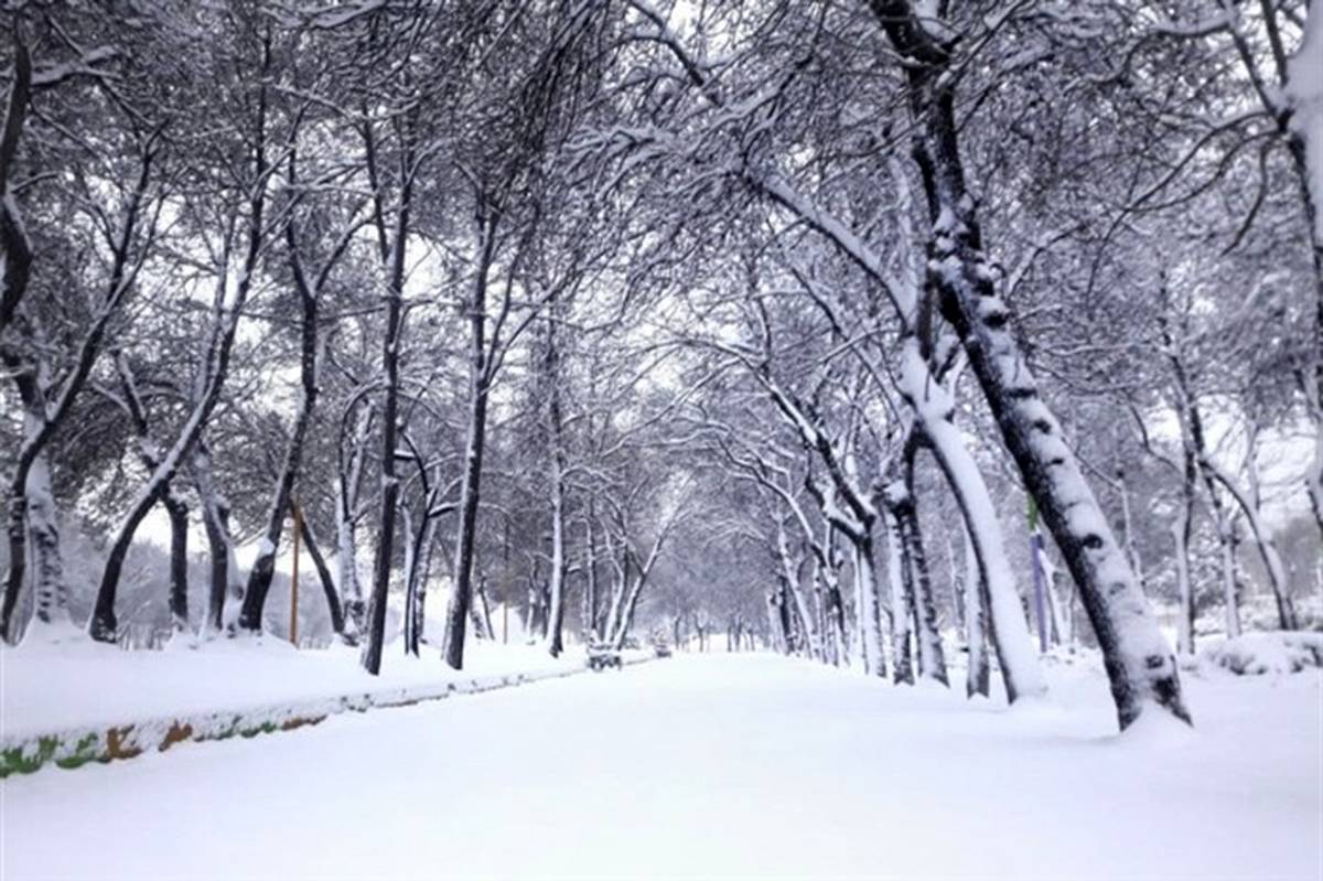 شدت بارش برف و سرما، مدارس اردبیل را تعطیل کرد