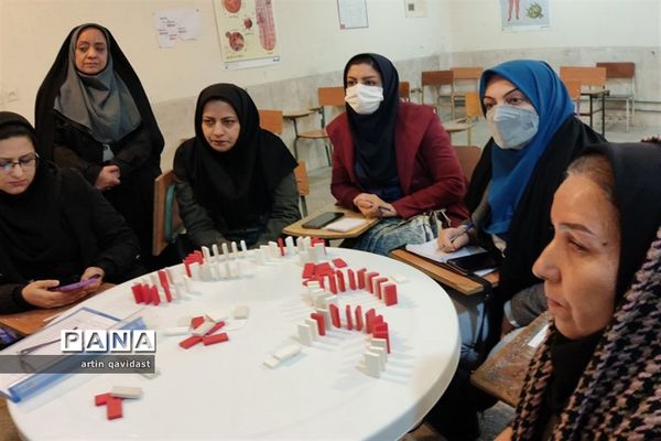 برگزاری دوره آموزشی بازی‌های فکری رویش ویژه مربیان ناحیه 3 شیراز