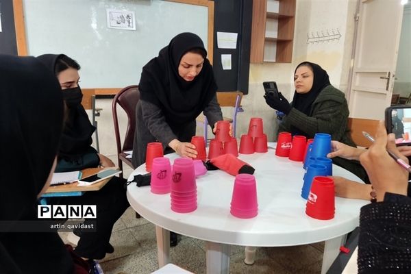 برگزاری دوره آموزشی بازی‌های فکری رویش ویژه مربیان ناحیه 3 شیراز