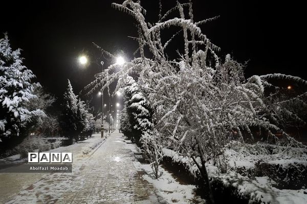 بارش برف بعد از سال‌ها  انتظار در کاشمر