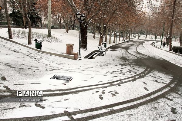 بارش برف زمستانی در تهران