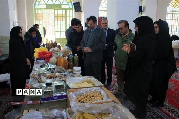 افتتاح نمایشگاه صنایع‌دستی، محصولات خانگی و غذای محلی در ابرکوه