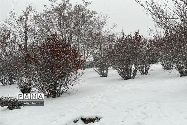 برف امروز تهران