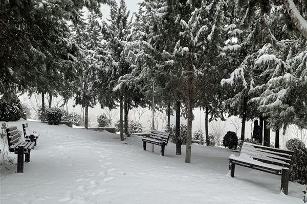 برف امروز تهران