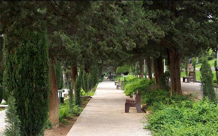 سرانه 34 مترمربعی فضای سبز در منطقه 6 شهرداری شیرازبرای هر شهروند