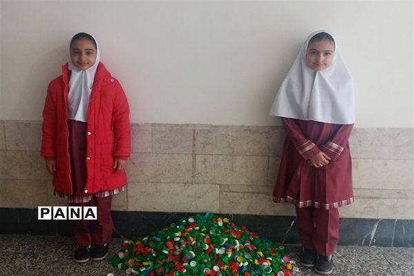 خرید یک ویلچر هدیه با جمعآوری درب بطریهای پلاستیکی