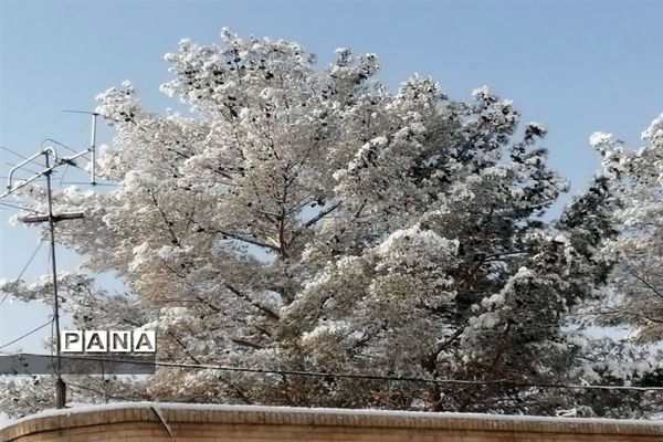 بارش سومین برف زمستانی چهره شهرستان بهاباد را سفید پوش کرد