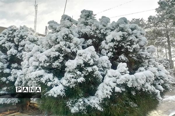 بارش سومین برف زمستانی چهره شهرستان بهاباد را سفید پوش کرد