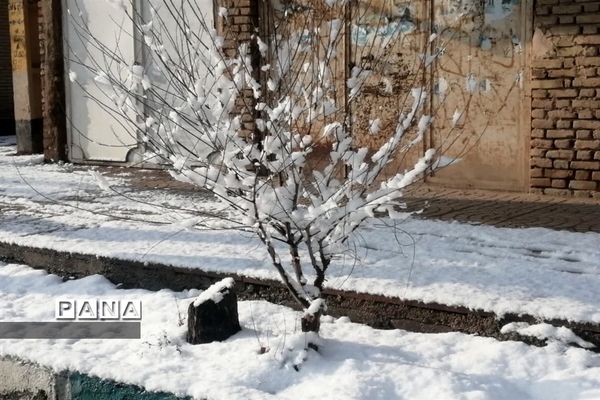 بارش سومین برف زمستانی چهره شهرستان بهاباد را سفید پوش کرد