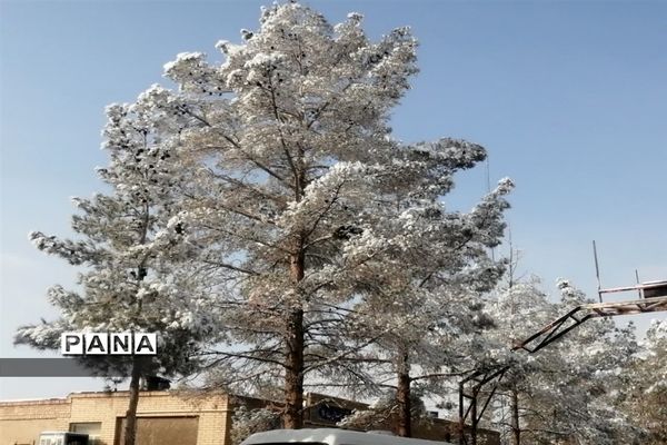 بارش سومین برف زمستانی چهره شهرستان بهاباد را سفید پوش کرد