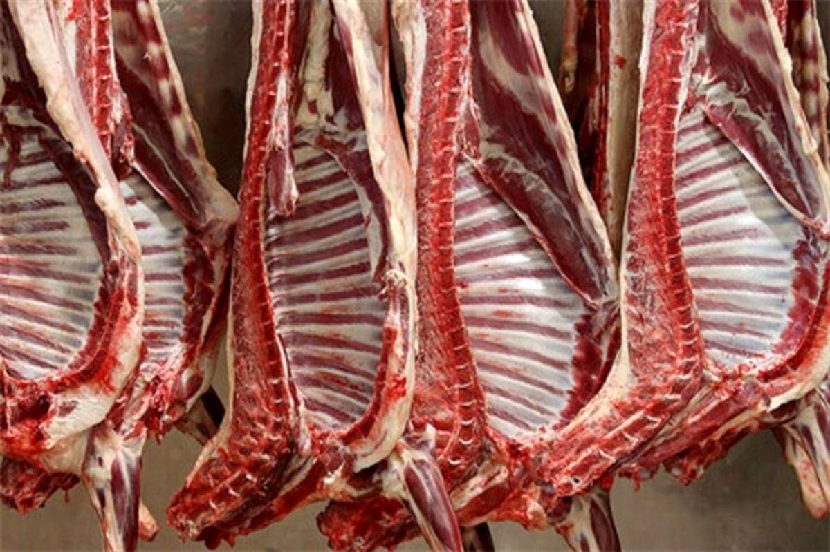 قیمت گوشت حدود ۱۰۰ تا ۱۵۰ هزارتومان کاهش می یابد