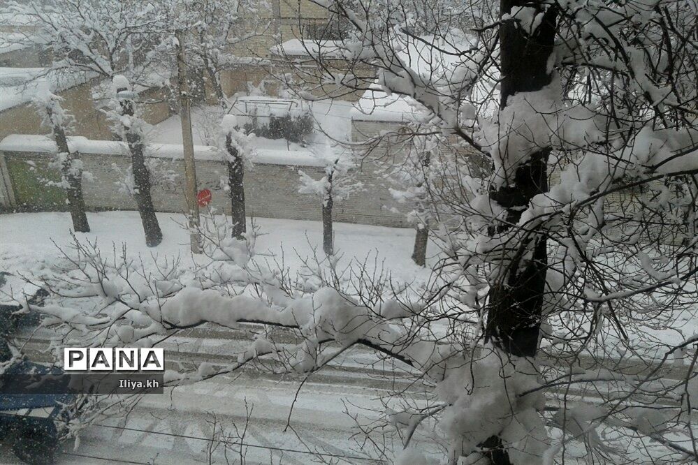 بارش سنگین برف در فارسان