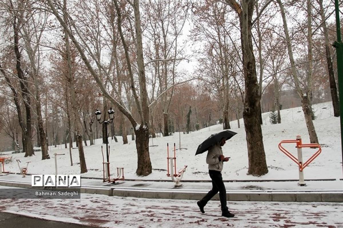 بارش برف و باران در تهران و خطر ریزش بهمن و کولاک برف در ارتفاعات