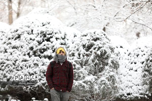 بارش برف زمستانی در تهران