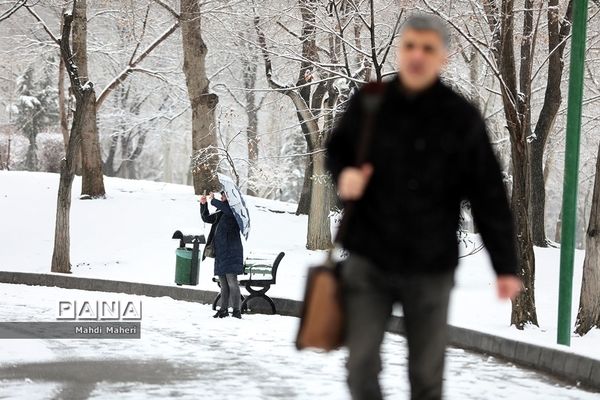 بارش برف زمستانی در تهران