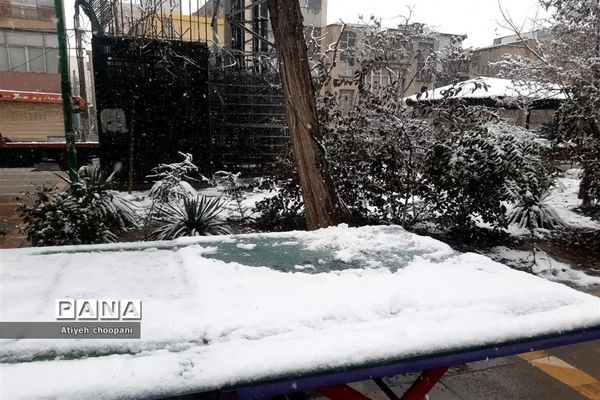 بارش برف تهران را سفید پوش کرد