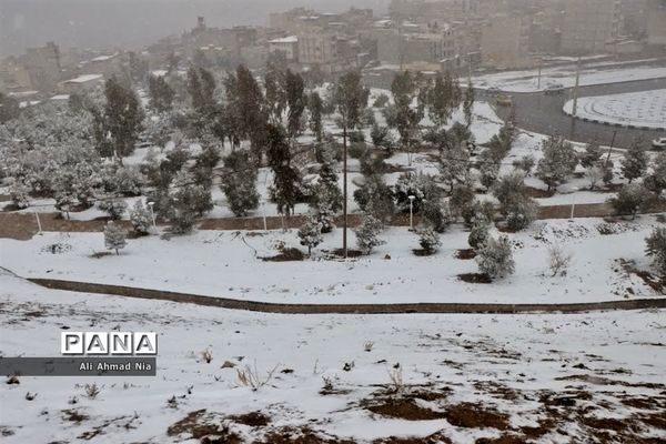 بارش برف در قم