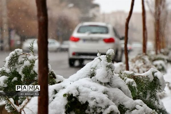 بارش برف در قم