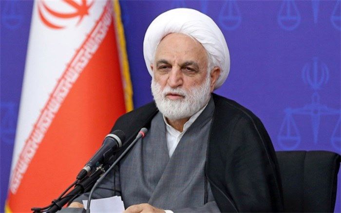 محسنی اژه‌ای: در برخی پرونده‌ها، یک قاضی بدون نظر کارشناس نمی‌تواند رأی صادر کند