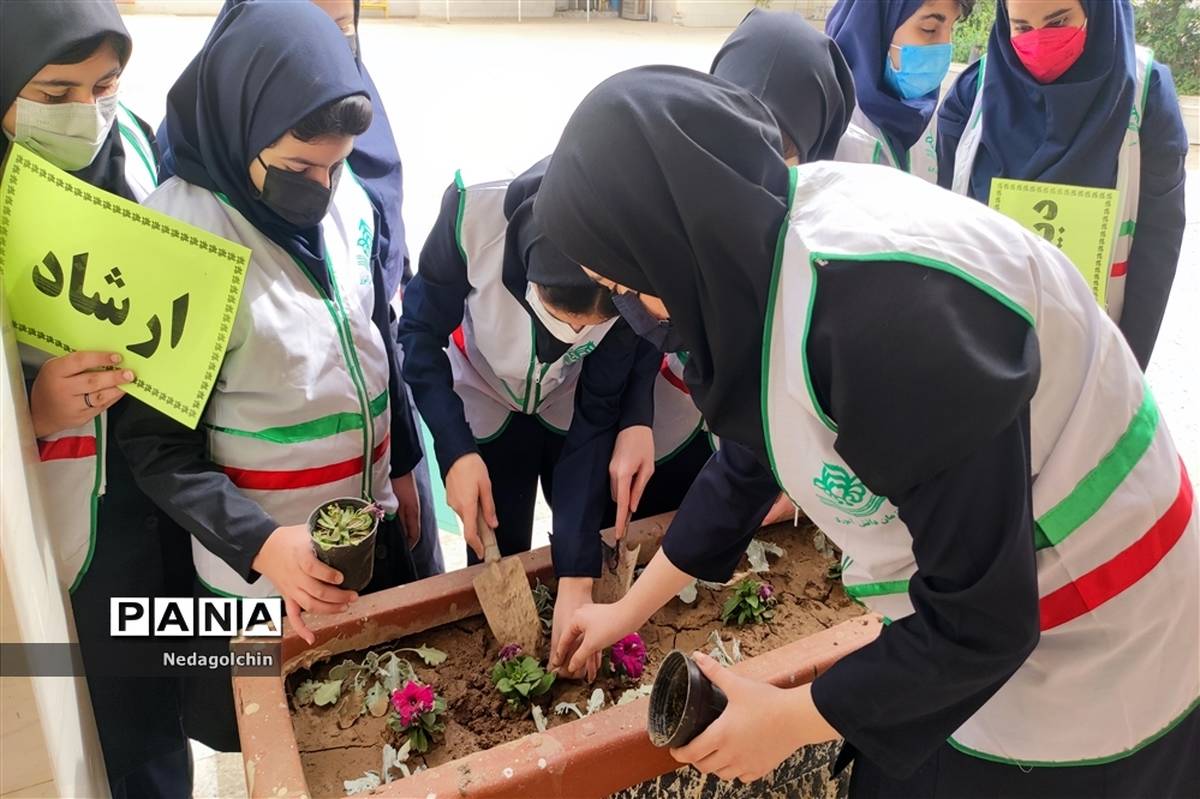 کاشت درخت در 300 مدرسه پایتخت