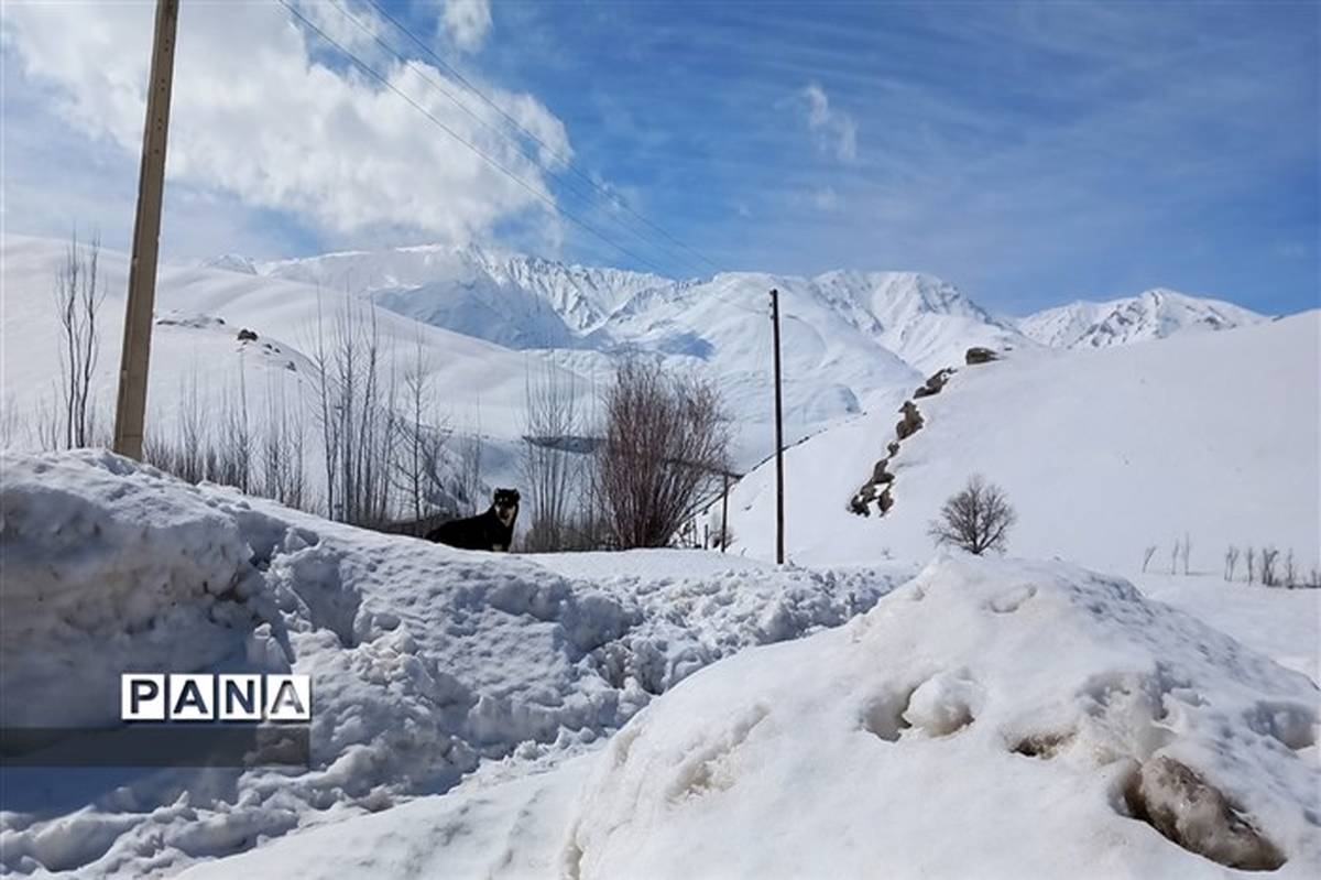 هشدار وقوع بهمن در ۹ استان؛ دما در نوار شمالی ۱۰ درجه‌ کاهش می‌یابد